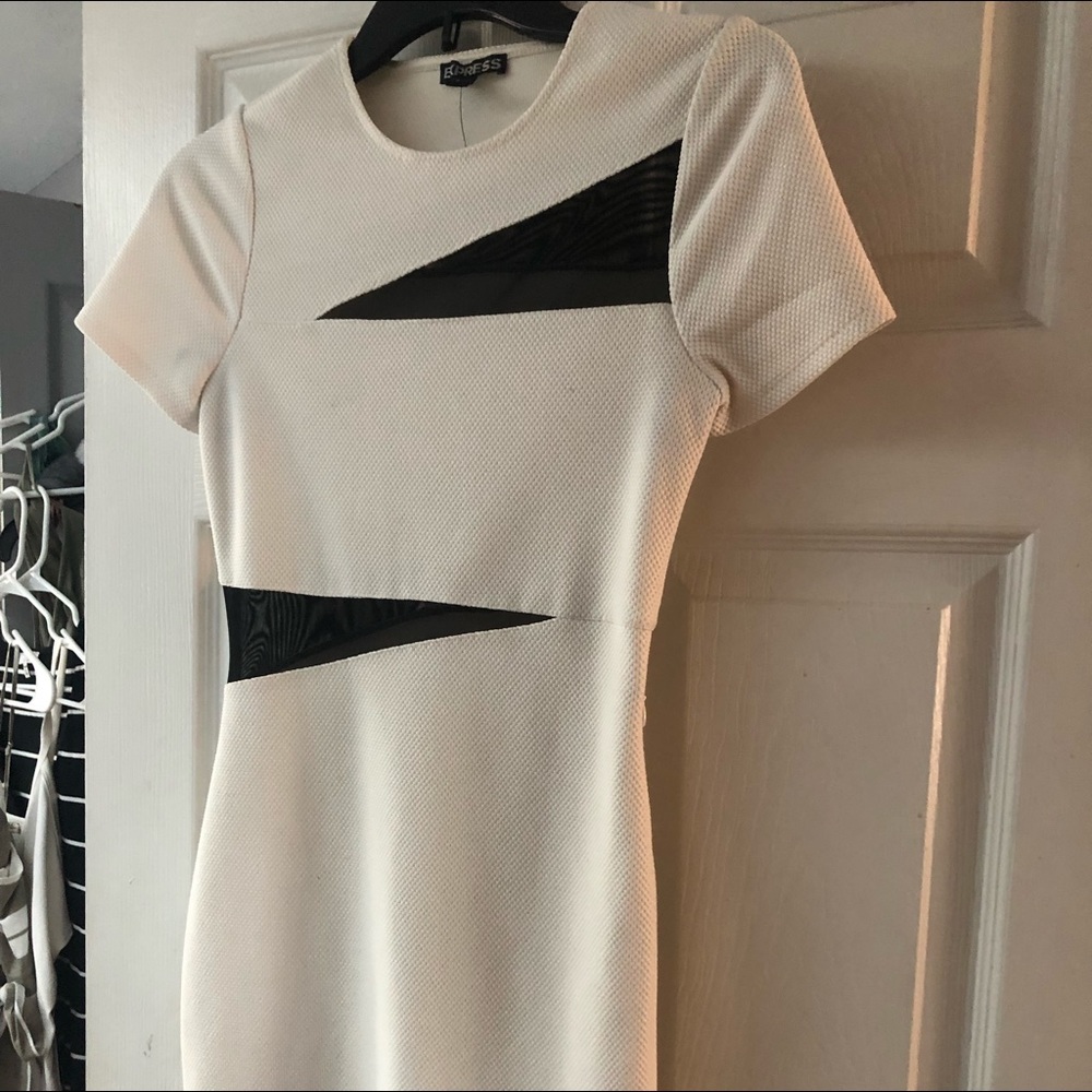 Express fitted bodycon dress